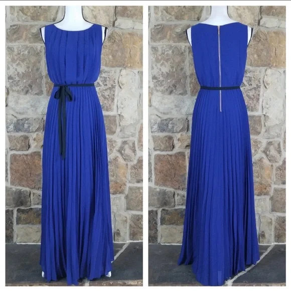 🪴HP🪴 Eliza J Pleated Full Length Maxi Dress Size 6 - Picture 2 of 8
